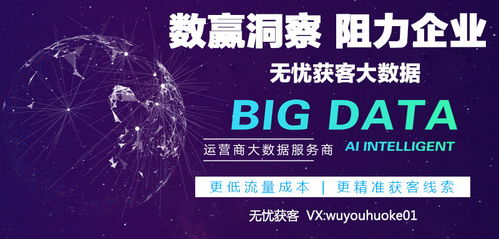 互联网数据服务 数据整合与API的核心作用